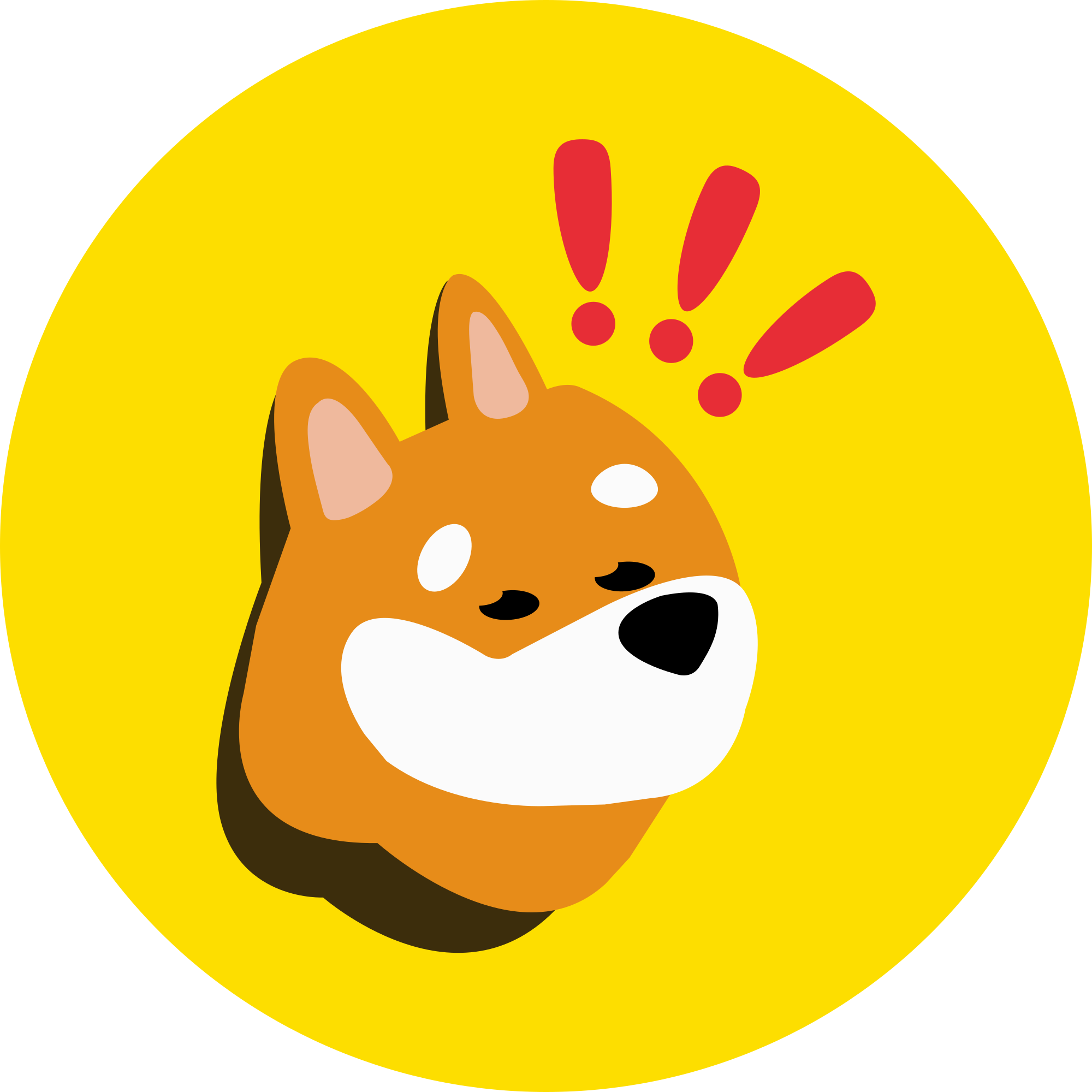 Bonkfun